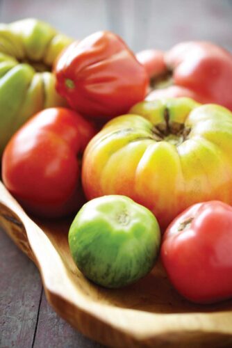 Killer Tomatoes! Tips for Growing Great Tomatoes